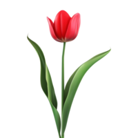 ai gegenereerd 3d renderen van een roze tulp bloem Aan transparant achtergrond - ai gegenereerd png