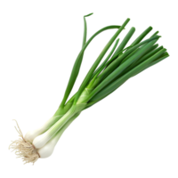 AI generated 3D Rendering of a Spring Onion on Transparent Background - Ai Generated png