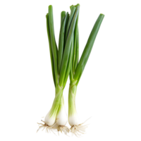 AI generated 3D Rendering of a Spring Onion on Transparent Background - Ai Generated png