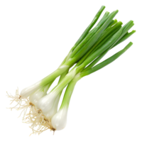 AI generated 3D Rendering of a Spring Onion on Transparent Background - Ai Generated png