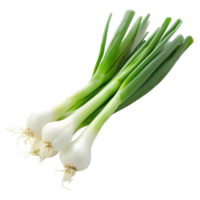 AI generated 3D Rendering of a Spring Onion on Transparent Background - Ai Generated png