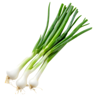 AI generated 3D Rendering of a Spring Onion on Transparent Background - Ai Generated png