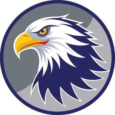 Eagle head with wings. Vector illustration for sport team logo, t-shirt print