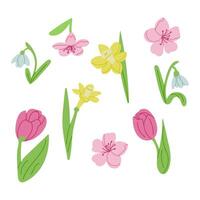 Spring flat collection of hand drawn season flowers. For poster, card, scrapbooking , stickers. Sketchy hand drawn elements on white background. vector