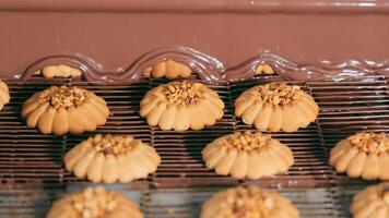 galletas son automáticamente cubierto con Leche chocolate en el panadería. el concepto de haciendo galletas, confitería productos arriba cerca foto