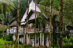 un abandonado casa en el medio de el bosque ese mira un pequeño de miedo foto