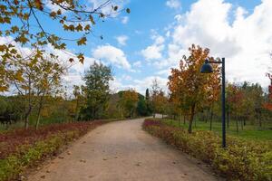 Jogging or running trail in a park in the autumn. Landscape architecture background photo. photo