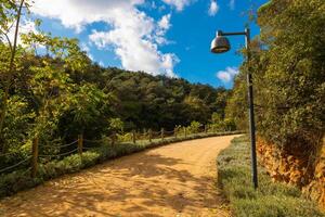 Jogging trail with a light pole in a park or forest and partly cloudy sky on the background. photo