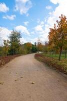 Jogging or hiking trail in a park in the autumn with partly cloudy sky. photo