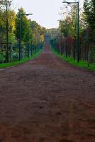 A jogging trail in a park with lightpoles in vertical shot. Jogging or running trails background photo. photo