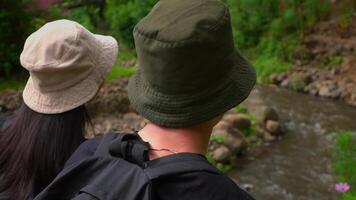 Rear view of a couple wearing hats looking at a stream in a lush green setting. video