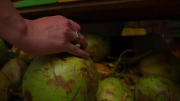 Person standing next to a tropical fruit stand with fresh coconuts on display. video