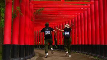 deux gens en marchant par une vibrant rouge torii porte tunnel à une Japonais tombeau, symbolisant tradition et Voyage. video