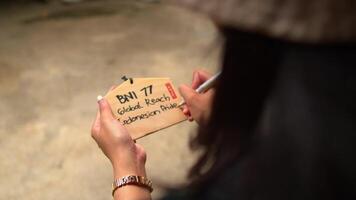 Person writing on a wooden board with a marker, close-up shot with blurred background. video