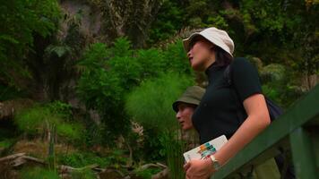 Tourists with a guidebook exploring, one pointing out something interesting in a lush green setting. video