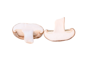 Front view set of shiitake mushroom halves isolated with clipping path in png file format