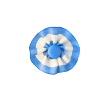 Closeup of isolated Argentine cockade. transparency png