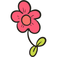 The illustration of a flower png