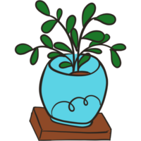 The illustration of a flower pot png