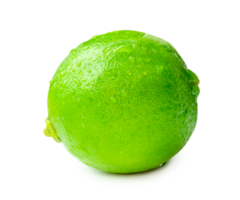 Front view or side view of single fresh green lemon fruit with drops isolated with clipping path and shadow in png file format