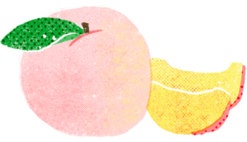 organisch Pfirsiche im drucken Stil frisch Früchte von das Bauernhof Markt perfekt zum Ernährung Blogs und saisonal Essen Aktionen png