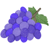 sappig druiven en andere vers fruit png