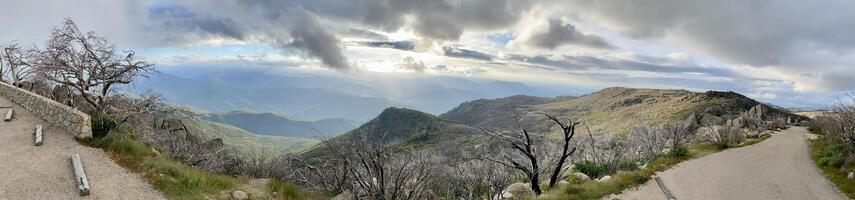 panorámico foto de el cuerno búfalo meseta, vic Australia