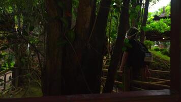 person stående på en trä- bro i en frodig skog miljö med grön lövverk och en stuga i de bakgrund. video