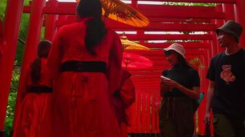 Visitors in traditional attire with umbrellas at a vibrant red shrine. video