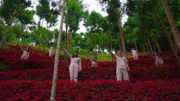 grupo do pessoas praticando ioga dentro uma sereno vermelho frondoso floresta, cercado de alta árvores, promovendo bem estar e tranqüilidade. video