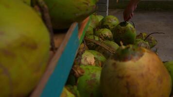 färsk grön kokosnötter på en marknadsföra bås, tropisk frukt bakgrund. video
