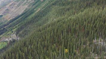 Antenne Aussicht von See Louise, felsig Berge, Kanada. video