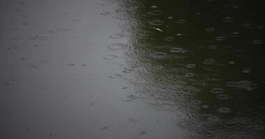 une lent mouvement de flaque à le étang pluvieux journée video