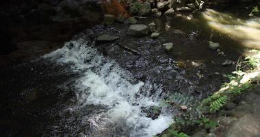 uma lento movimento do fluindo rio dentro Tóquio video