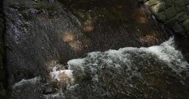 A slow motion of flowing river in Tokyo long shot video