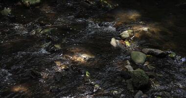 A slow motion of flowing river in Tokyo video