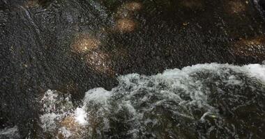 uma lento movimento do fluindo rio dentro Tóquio grandes tiro video