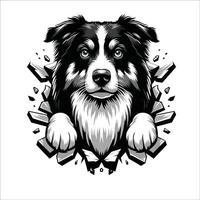 AI generated Australian Shepherd Dog looking breaks through a breakthrough wall Vector