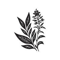 AI generated Lobelia flower silhouette black and white illustration vector