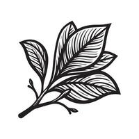 AI generated Magnolia flower silhouette black and white illustration vector