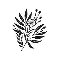 AI generated Sweet William flower silhouette black and white illustration vector