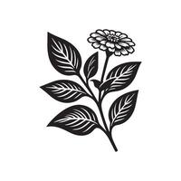 AI generated Zinnia flower silhouette black and white illustration vector