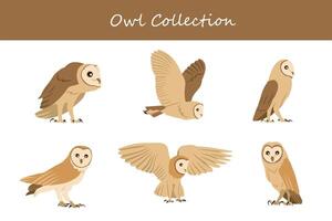 Owl vector set. Cute cartoon character in different poses and attitudes.