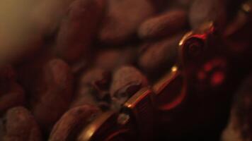 cocoa beans on a golden tray in red light , close up video