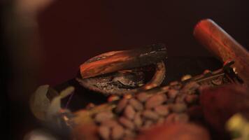 cacao bonen Aan een gouden dienblad en een gedoofd palo santo stok, rood afm licht video