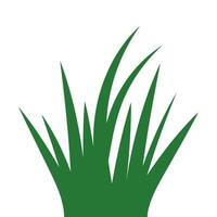 Green bush grass icon, part of lawn grass bush vector