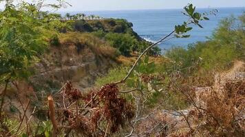 bellissimo rocce scogliere Visualizza onde a spiaggia puerto escondido Messico. video