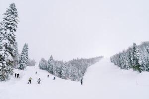 Skiers ski down a gently sloping snow track along a steep slope and forest photo