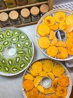 Sliced kiwi and persimmon lie on drying trays on the table photo