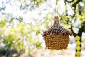 Wicker straw bird nest hanging on a rope on a tree in the park photo